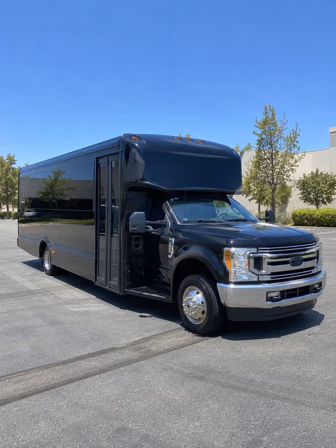 Group beside a Mercedes Sprinter limo in Escondido