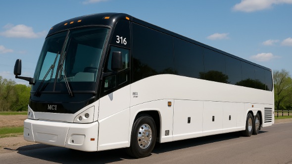 santee bachelor and bachelorette party bus rentals